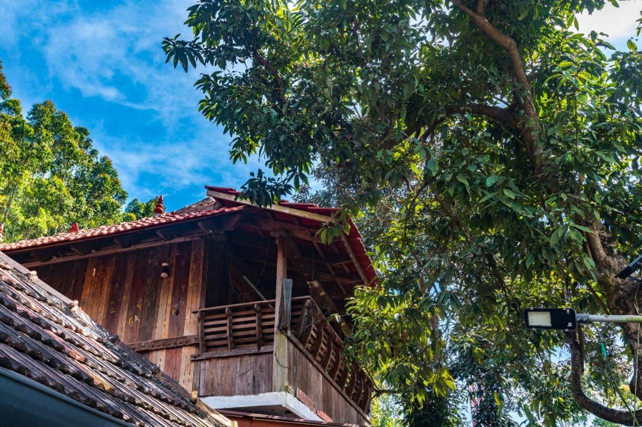 Castillo De Woods Kottakamboor Buitenkant foto